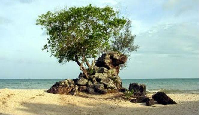Ekspos Keindahan Pantai Batu Berdaun: Destinasi Tersembunyi di Bali