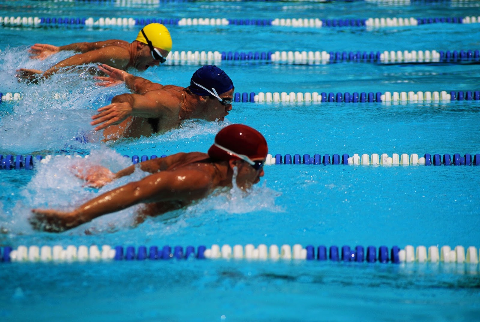 Memahami Pesona Olahraga Berenang yang Menarik Banyak Orang