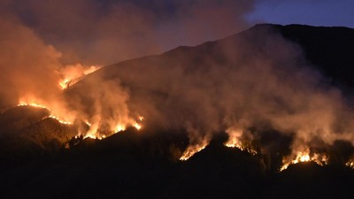 Gunung Bromo Kebakaran: Upaya Penanganan dan Dampak Lingkungan