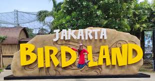 Menjelajahi Keindahan Alam di Jakarta Birdland