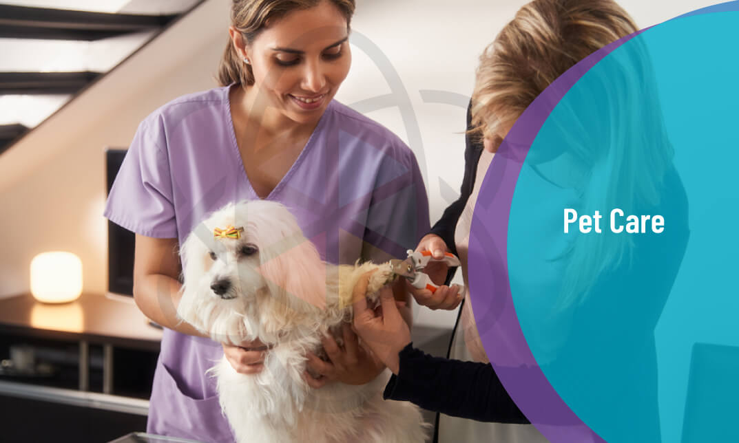 Paws and Reflect: Mastering the Art of Pet Care and Training