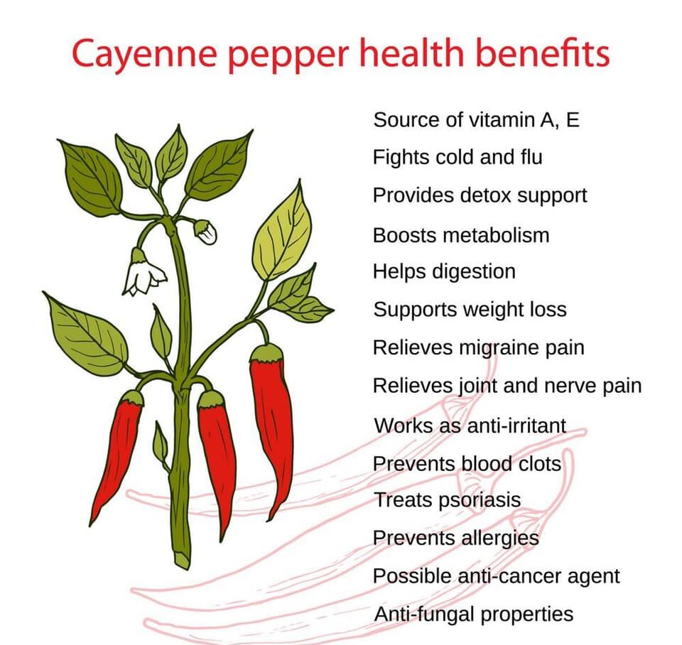 Illustrative diagram of the immune system being energized by capsaicin molecules from chili peppers, emphasizing natural health benefits.